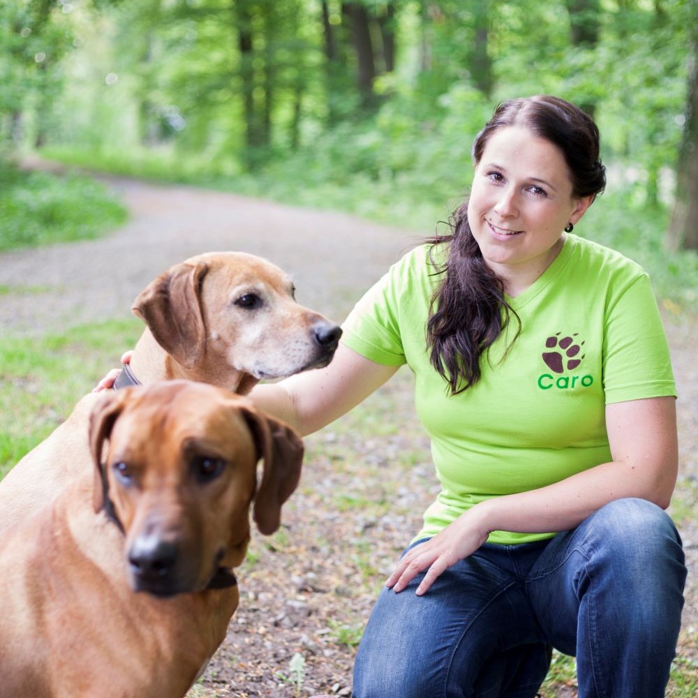 Hundetraining mit Expertin Caroline Hegebüscher