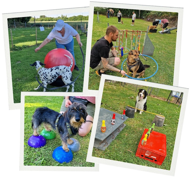Bunte Stunde - ein Gruppenkurs für Hunde in Soest